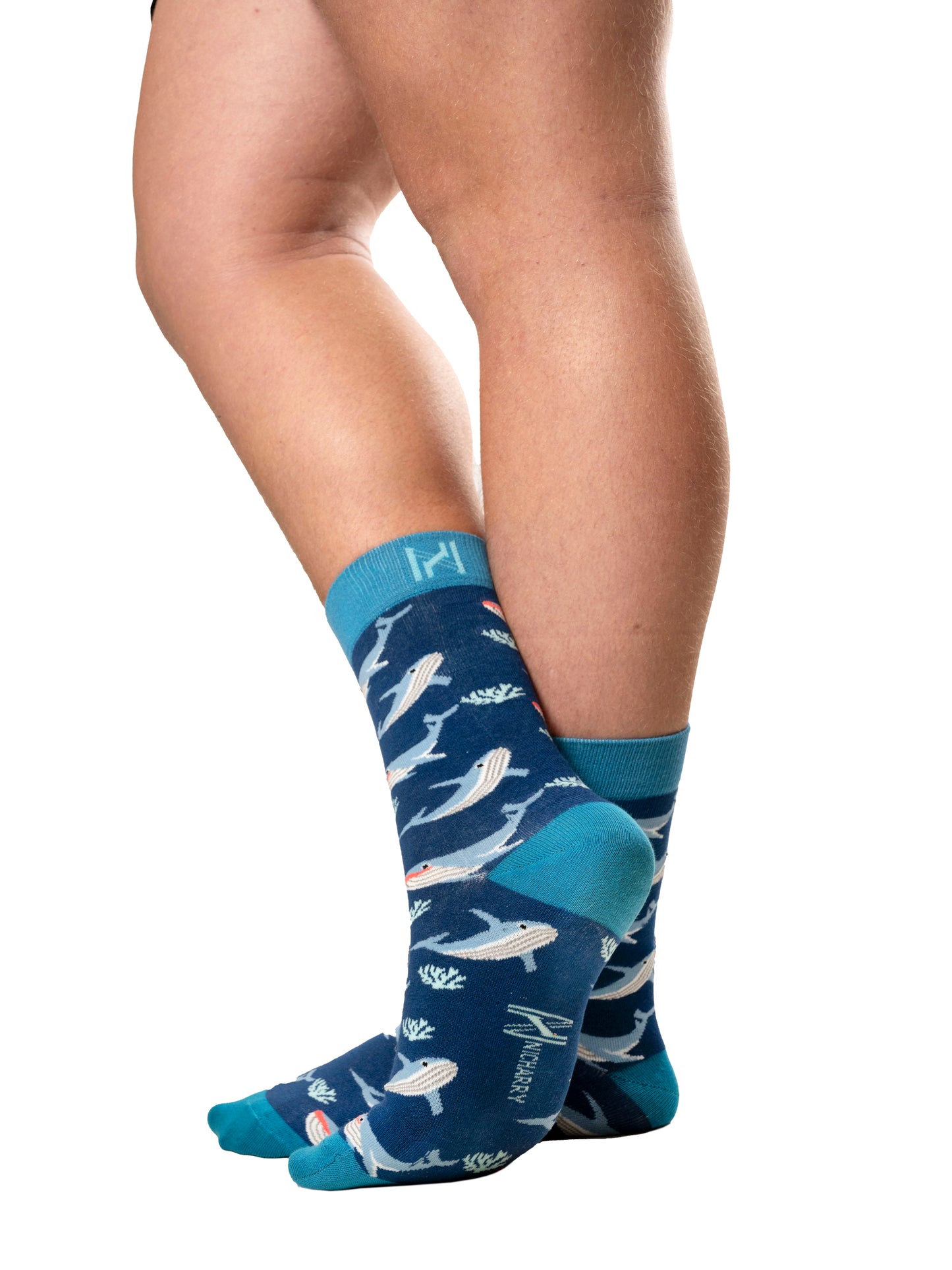 The Whale Sock (7-11)